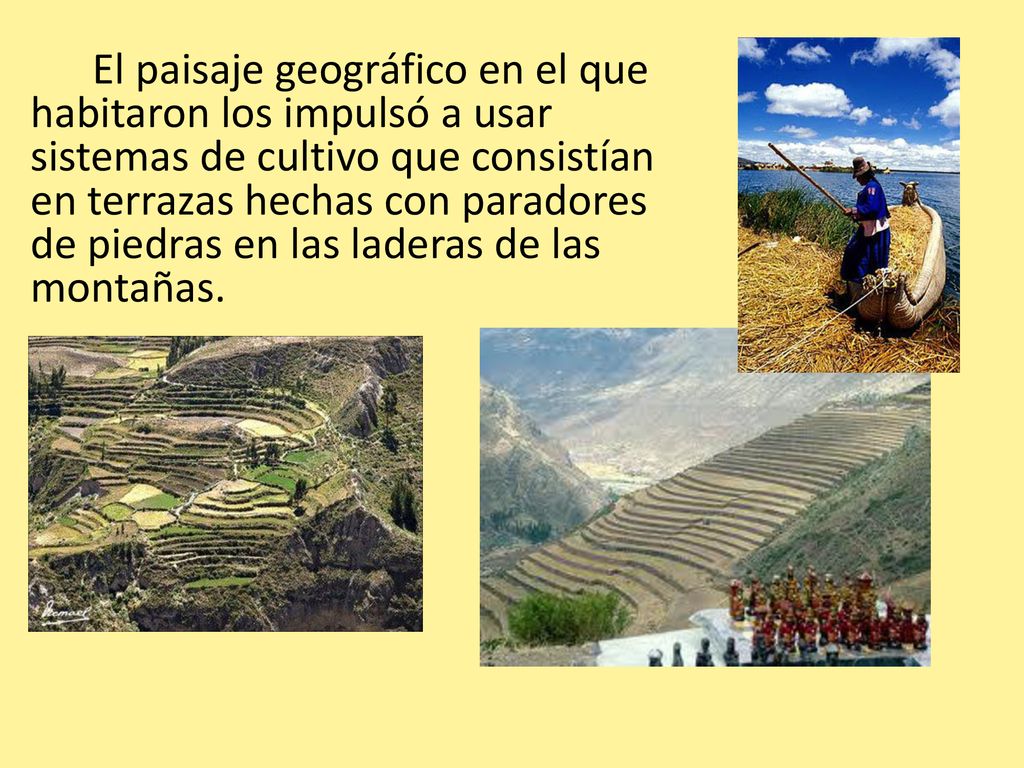 El paisaje geográfico en el que habitaron los impulsó a usar sistemas de cultivo que consistían en terrazas hechas con paradores de piedras en las laderas de las montañas.