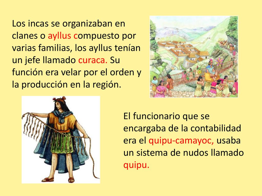 Los incas se organizaban en clanes o ayllus compuesto por varias familias, los ayllus tenían un jefe llamado curaca. Su función era velar por el orden y la producción en la región.