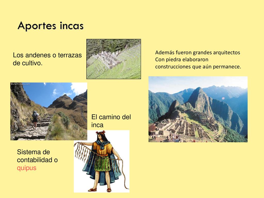 Aportes incas Los andenes o terrazas de cultivo. El camino del inca