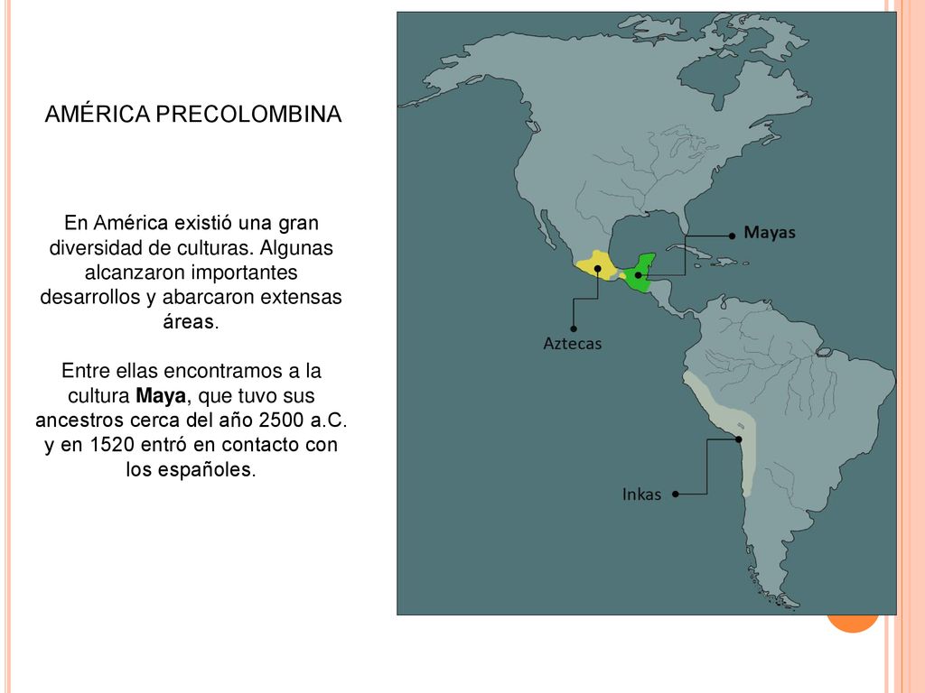 AMÉRICA PRECOLOMBINA En América existió una gran diversidad de culturas. Algunas alcanzaron importantes desarrollos y abarcaron extensas áreas.