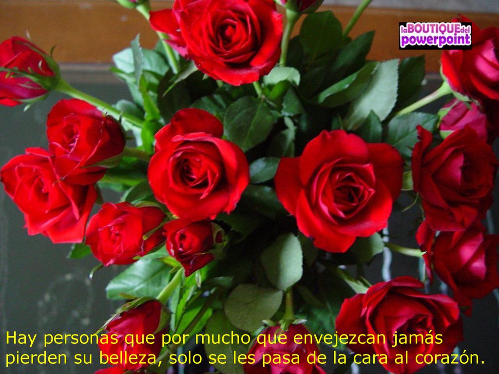 Hay personas que por mucho que envejezcan jamás pierden su belleza, solo se les pasa de la cara al corazón.