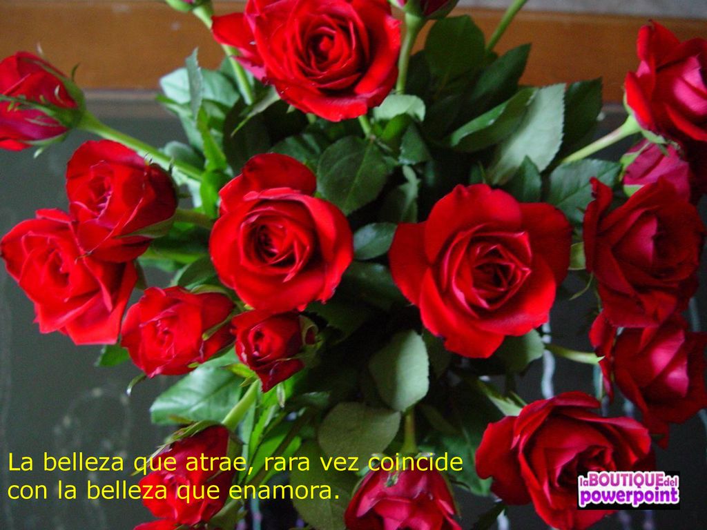 La belleza que atrae, rara vez coincide con la belleza que enamora.