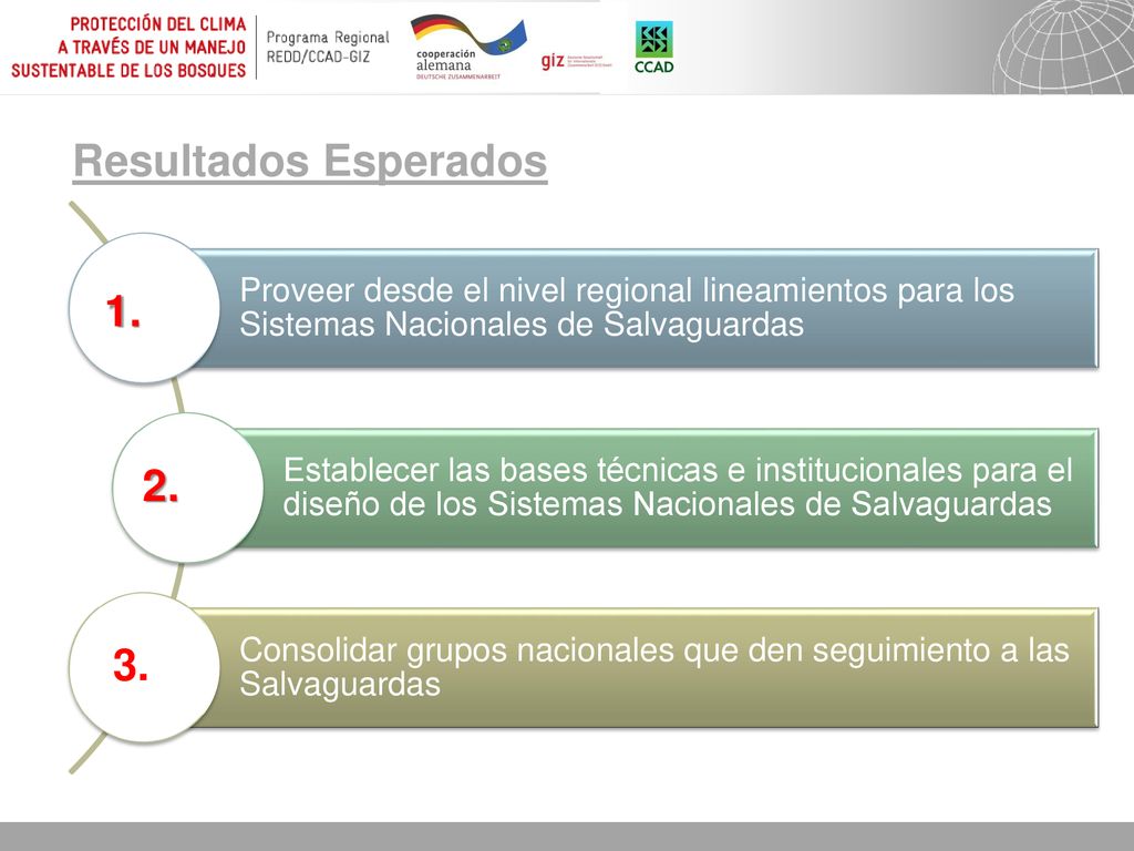 Resultados Esperados Proveer desde el nivel regional lineamientos para los Sistemas Nacionales de Salvaguardas.