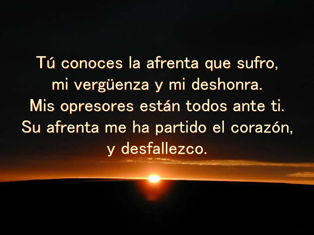 Tú conoces la afrenta que sufro, mi vergüenza y mi deshonra.