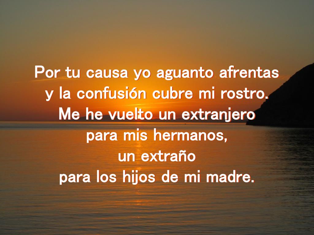 Por tu causa yo aguanto afrentas y la confusión cubre mi rostro.