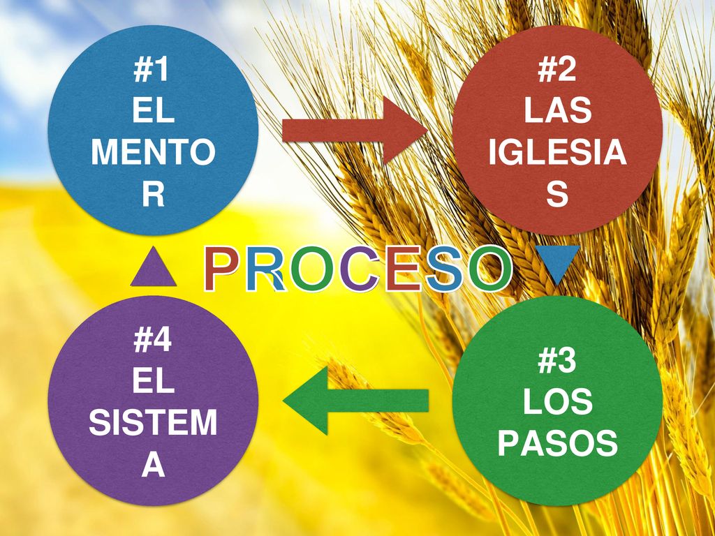 PROCESO PROCESO #1 EL MENTOR #2 LAS IGLESIAS #4 EL SISTEMA #3 LOS