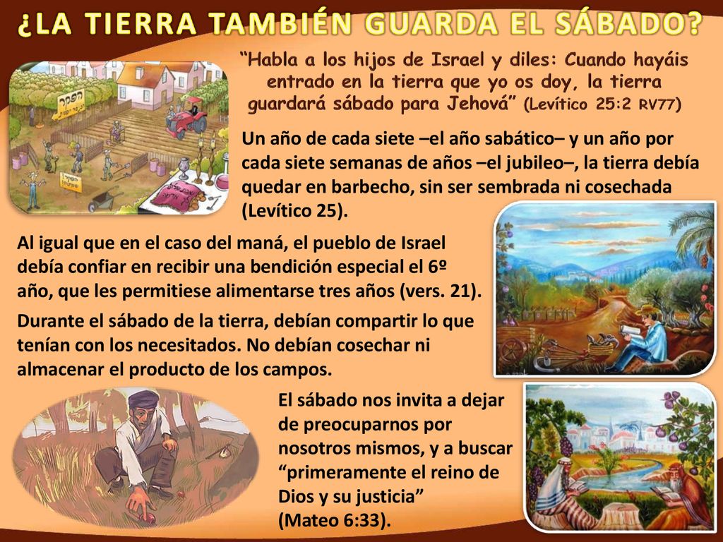 Un año de cada siete –el año sabático– y un año por cada siete semanas de años –el jubileo–, la tierra debía quedar en barbecho, sin ser sembrada ni cosechada (Levítico 25).