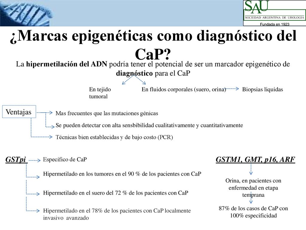 ¿Marcas epigenéticas como diagnóstico del CaP
