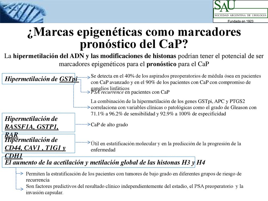 ¿Marcas epigenéticas como marcadores pronóstico del CaP