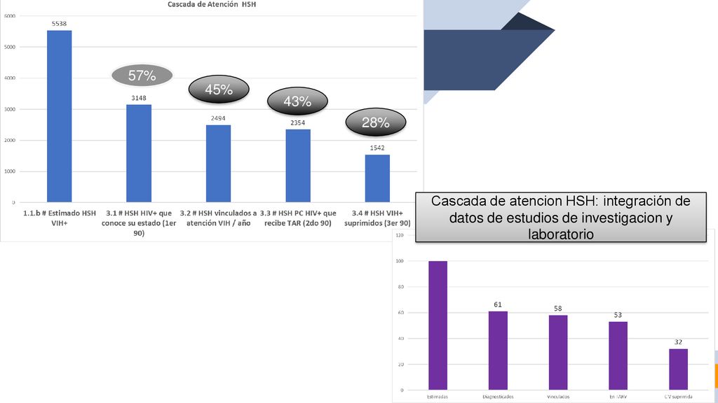 57% 45% 43% 28% Cascada de atencion HSH: integración de datos de estudios de investigacion y laboratorio.