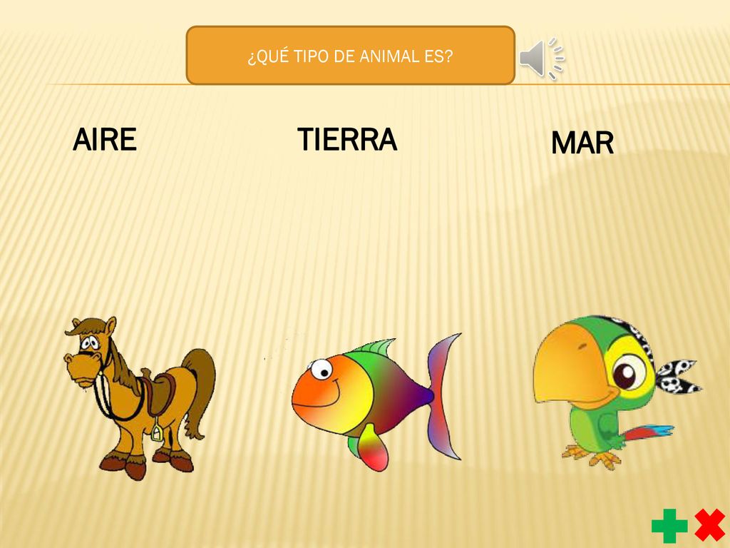 ¿QUÉ TIPO DE ANIMAL ES AIRE TIERRA MAR