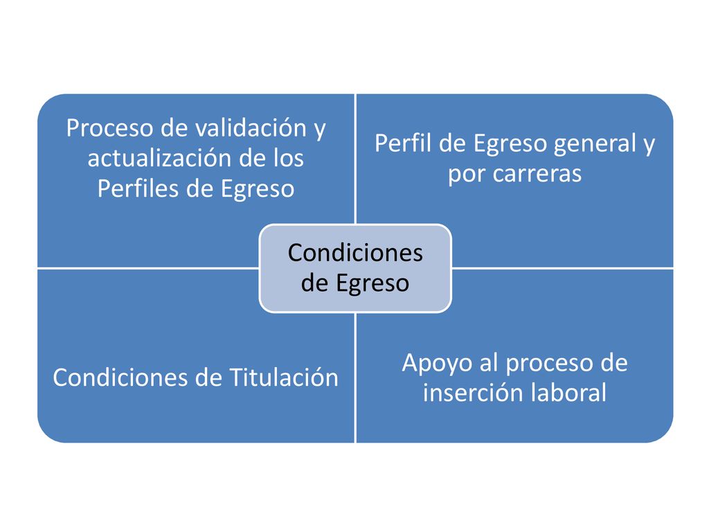 Proceso de validación y actualización de los Perfiles de Egreso