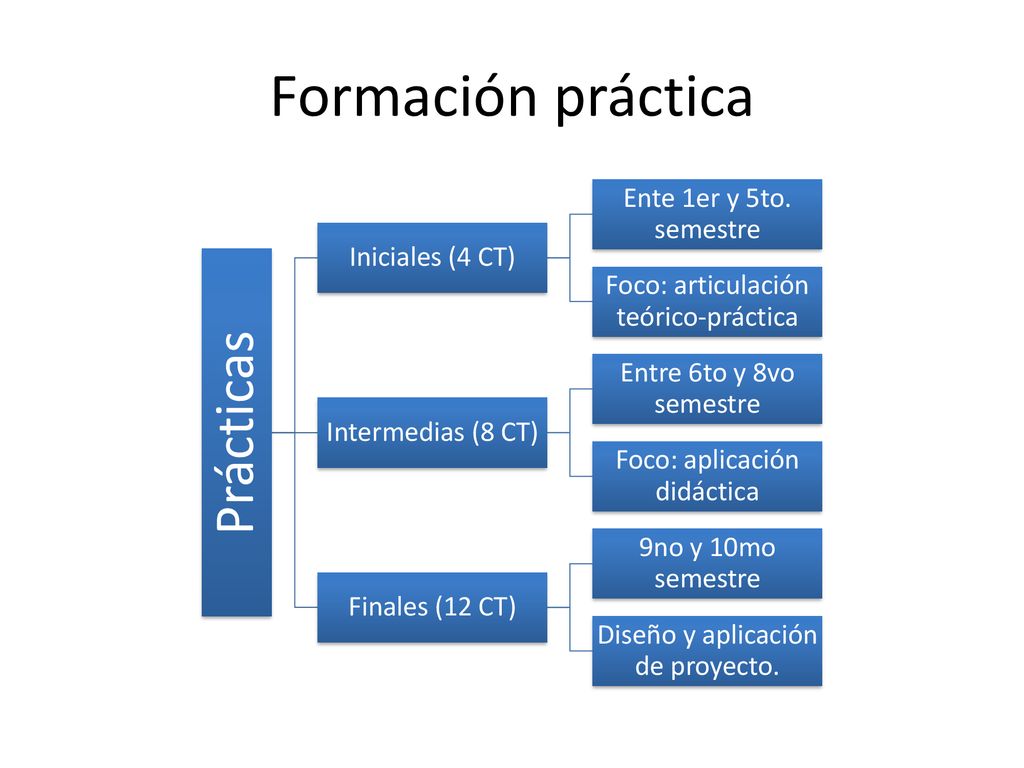 Formación práctica Prácticas Ente 1er y 5to. semestre Iniciales (4 CT)
