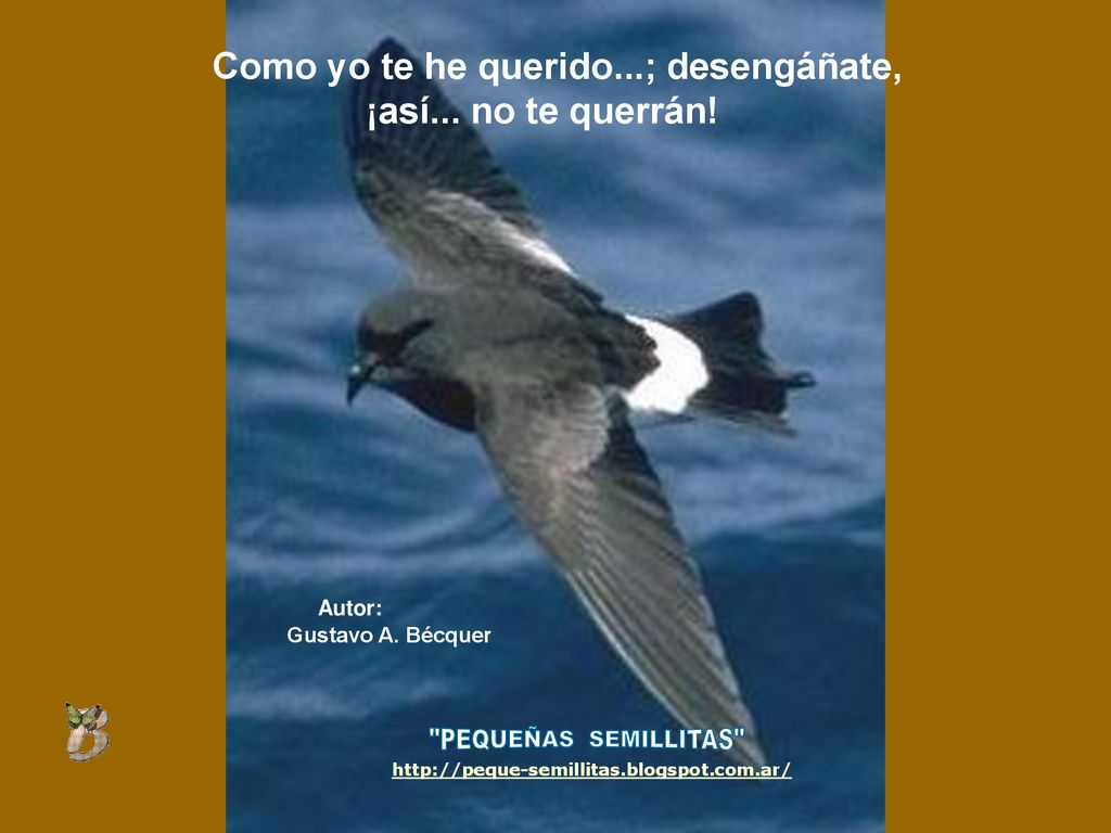 Como yo te he querido...; desengáñate, ¡así... no te querrán!