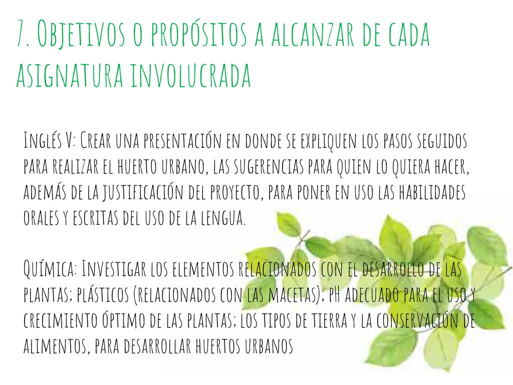 7. Objetivos o propósitos a alcanzar de cada asignatura involucrada