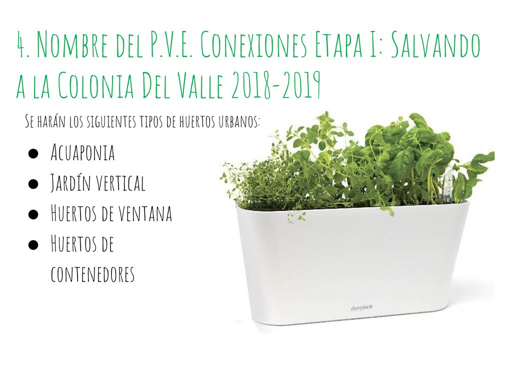 4. Nombre del P.V.E. Conexiones Etapa I: Salvando a la Colonia Del Valle