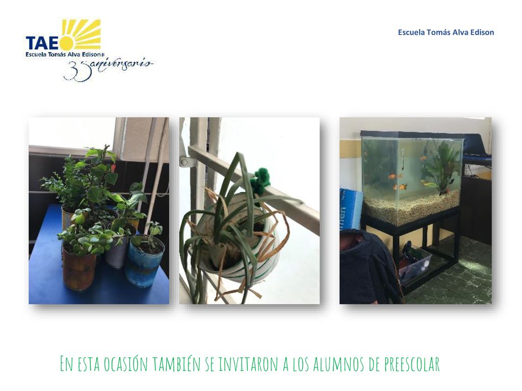 En esta ocasión también se invitaron a los alumnos de preescolar
