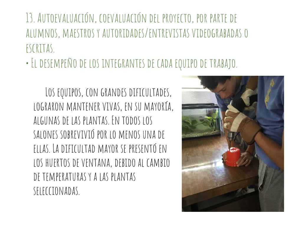 • El desempeño de los integrantes de cada equipo de trabajo.