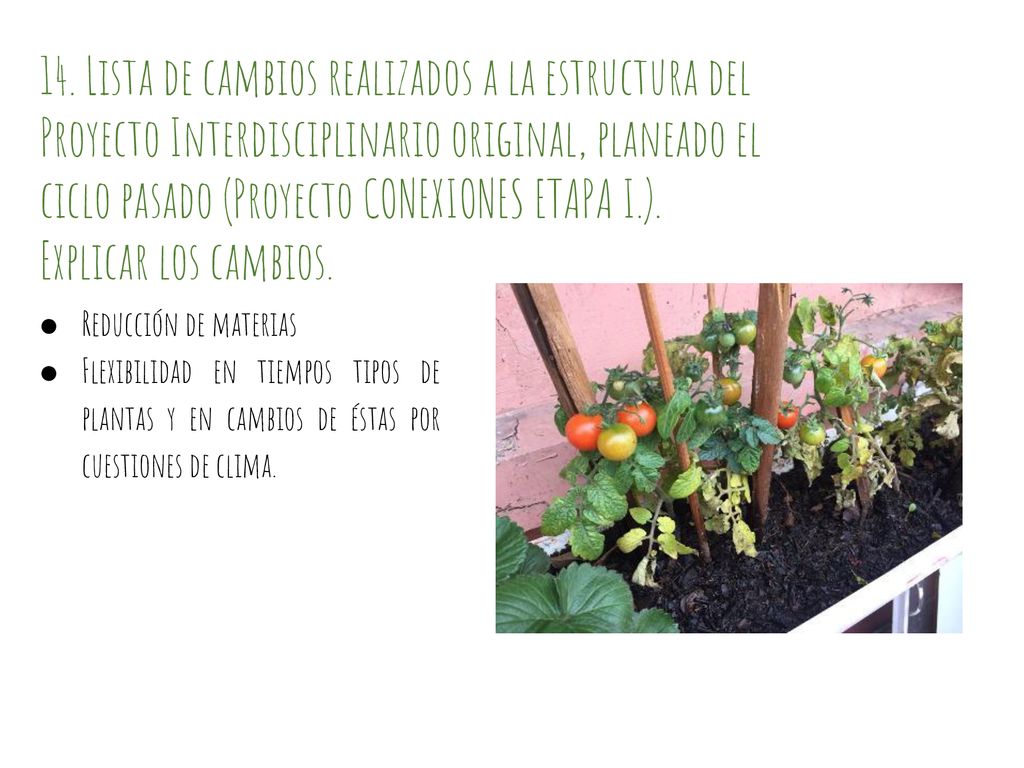 14. Lista de cambios realizados a la estructura del Proyecto Interdisciplinario original, planeado el ciclo pasado (Proyecto CONEXIONES ETAPA I.).