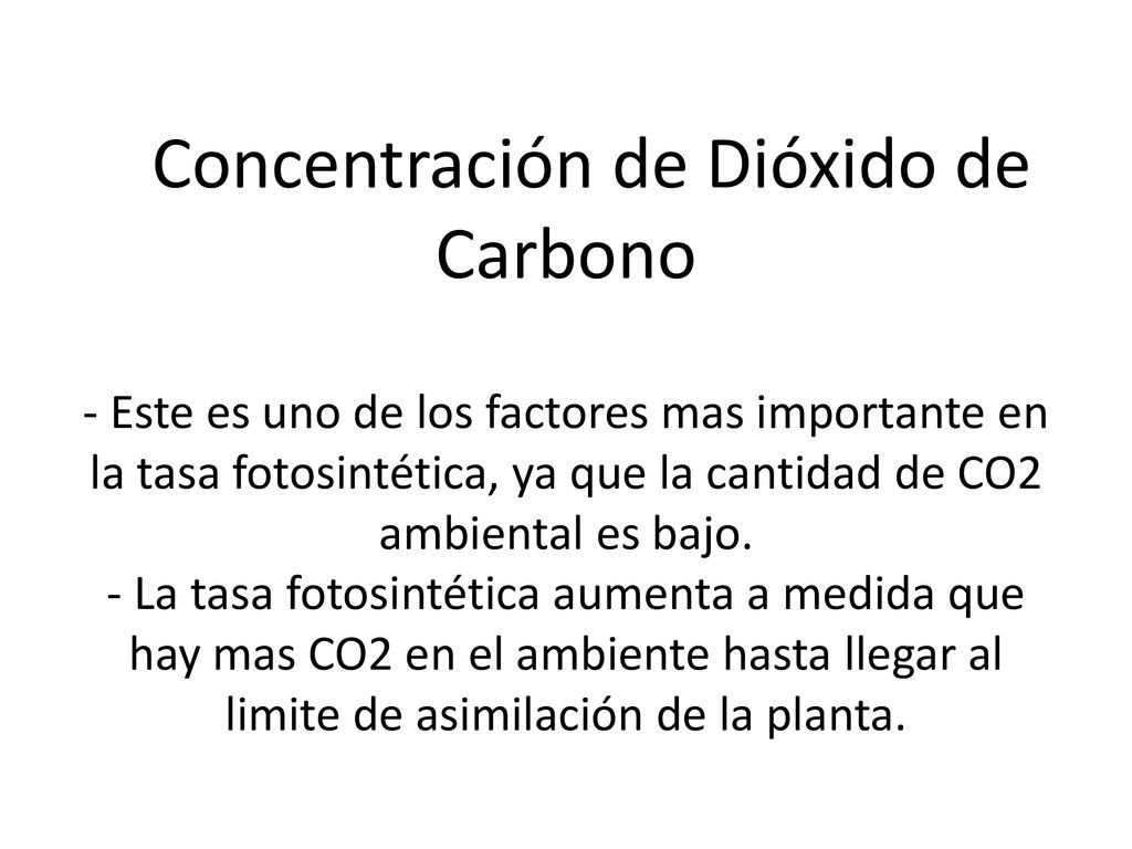 Concentración de Dióxido de Carbono - Este es uno de los factores mas importante en la tasa fotosintética, ya que la cantidad de CO2 ambiental es bajo.