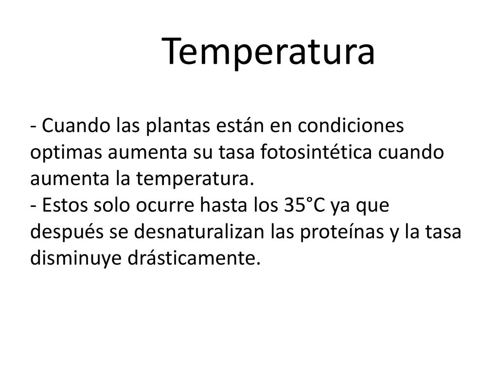 Temperatura - Cuando las plantas están en condiciones optimas aumenta su tasa fotosintética cuando aumenta la temperatura.