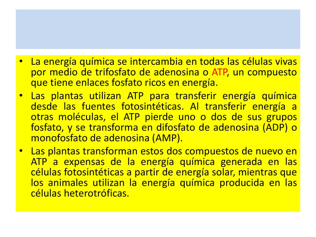 La energía química se intercambia en todas las células vivas por medio de trifosfato de adenosina o ATP, un compuesto que tiene enlaces fosfato ricos en energía.