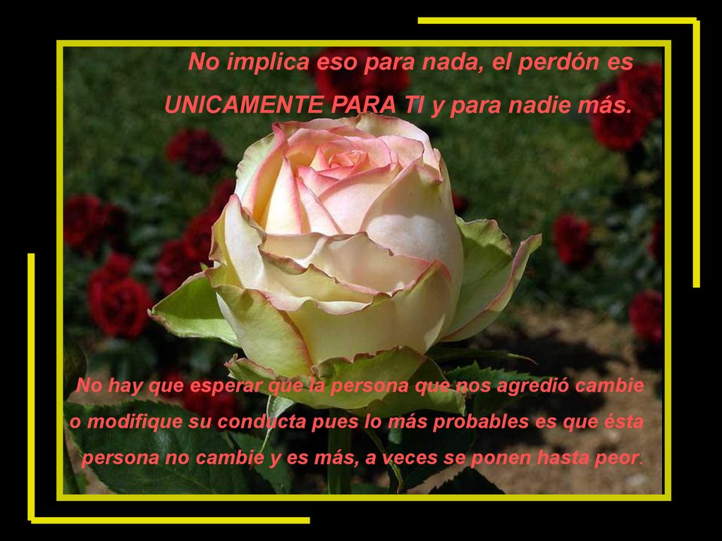 No implica eso para nada, el perdón es UNICAMENTE PARA TI y para nadie más.