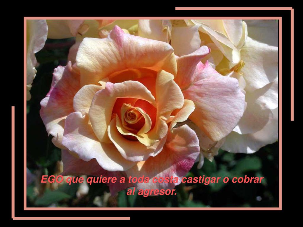 EGO que quiere a toda costa castigar o cobrar al agresor.