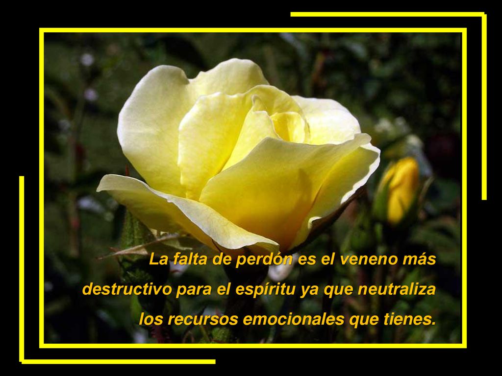 La falta de perdón es el veneno más destructivo para el espíritu ya que neutraliza los recursos emocionales que tienes.