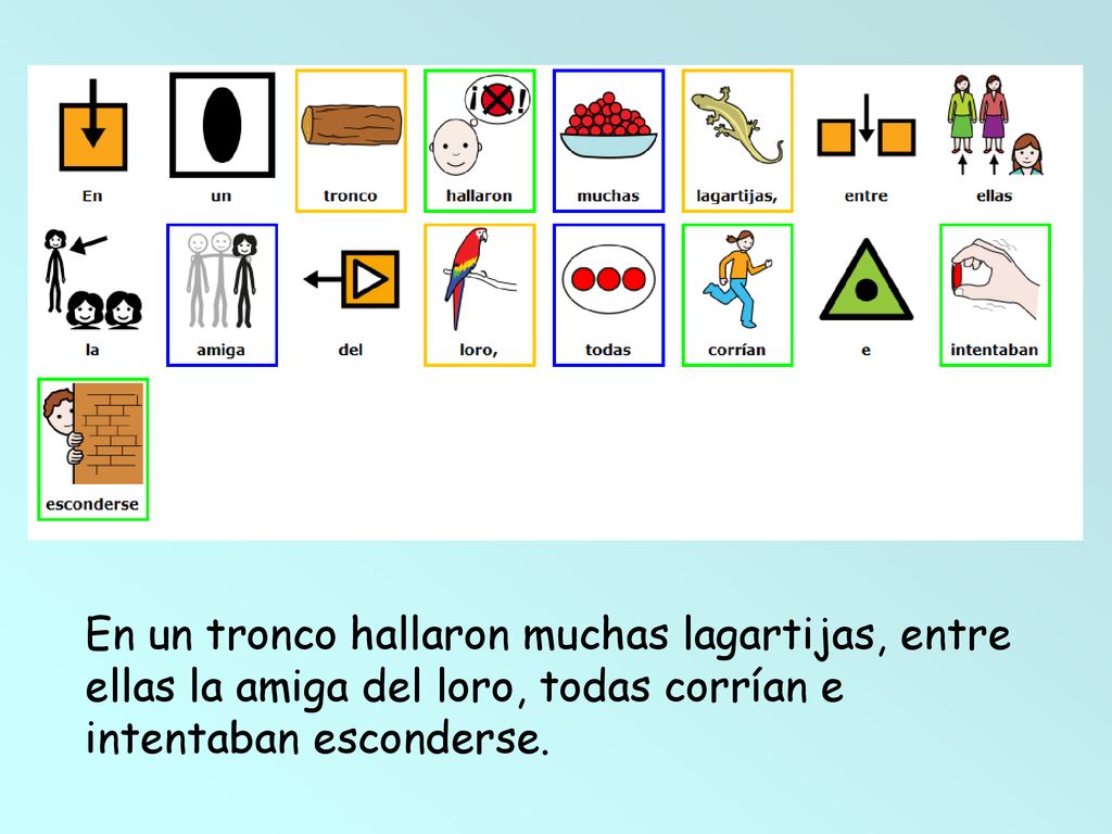 En un tronco hallaron muchas lagartijas, entre ellas la amiga del loro, todas corrían e intentaban esconderse.