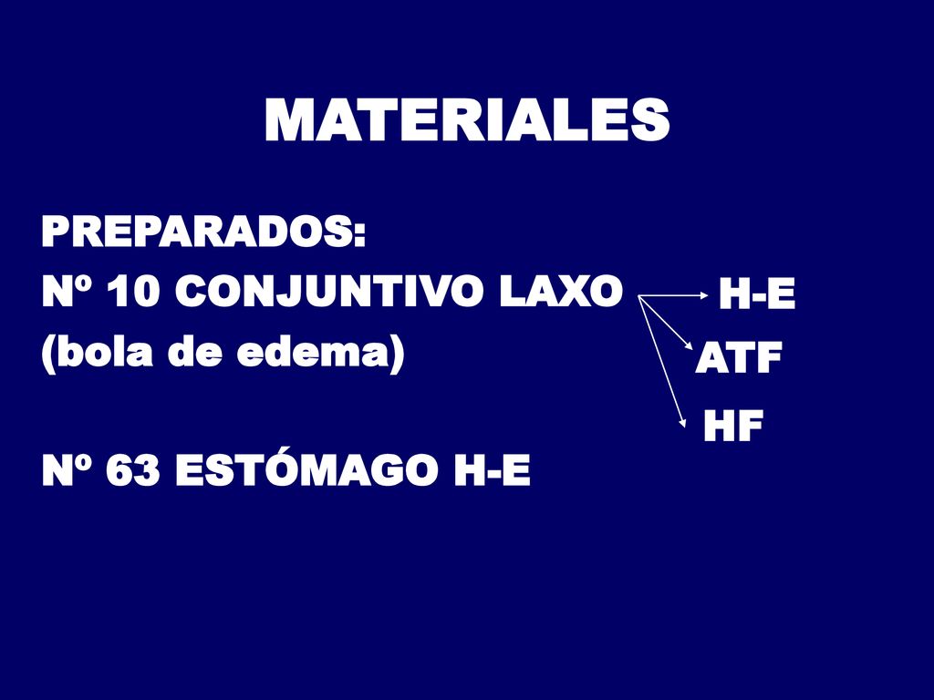MATERIALES PREPARADOS: Nº 10 CONJUNTIVO LAXO (bola de edema) H-E