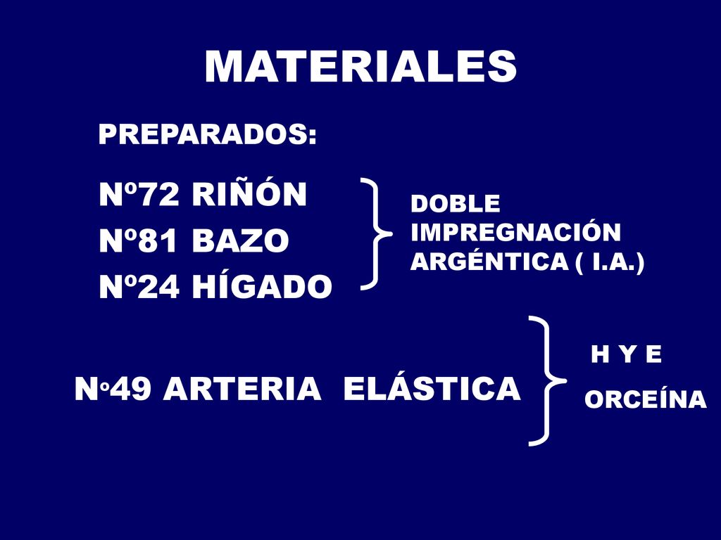 MATERIALES Nº72 RIÑÓN Nº81 BAZO Nº24 HÍGADO Nº49 ARTERIA ELÁSTICA