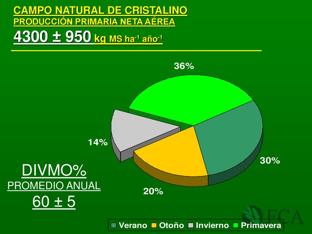 4300 ± 950 kg MS ha-1 año-1 DIVMO% 60 ± 5 CAMPO NATURAL DE CRISTALINO
