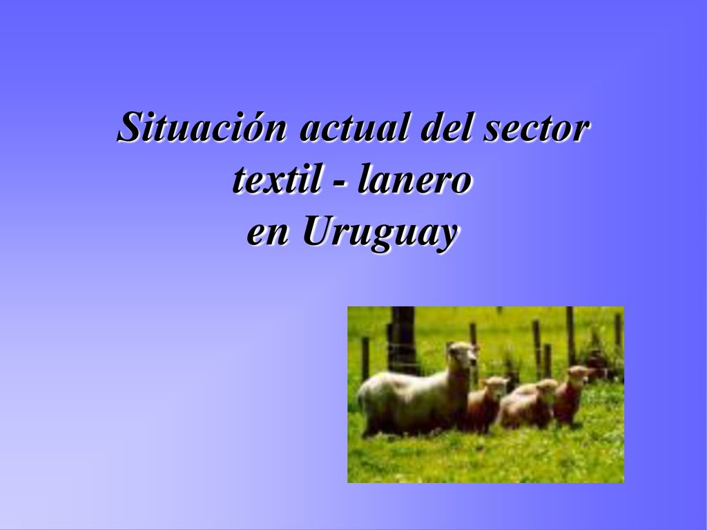 Situación actual del sector textil - lanero en Uruguay