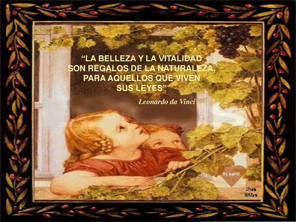 LA BELLEZA Y LA VITALIDAD SON REGALOS DE LA NATURALEZA,