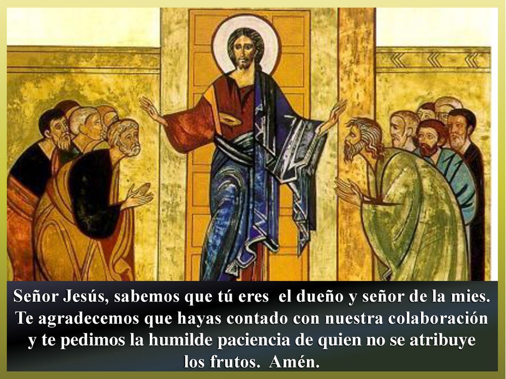 Señor Jesús, sabemos que tú eres el dueño y señor de la mies