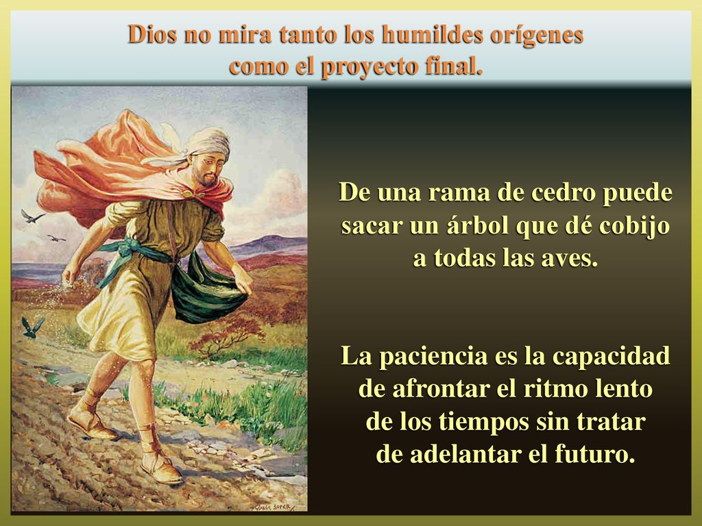 De una rama de cedro puede sacar un árbol que dé cobijo