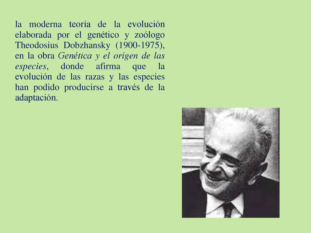 la moderna teoría de la evolución elaborada por el genético y zoólogo Theodosius Dobzhansky ( ), en la obra Genética y el origen de las especies, donde afirma que la evolución de las razas y las especies han podido producirse a través de la adaptación.