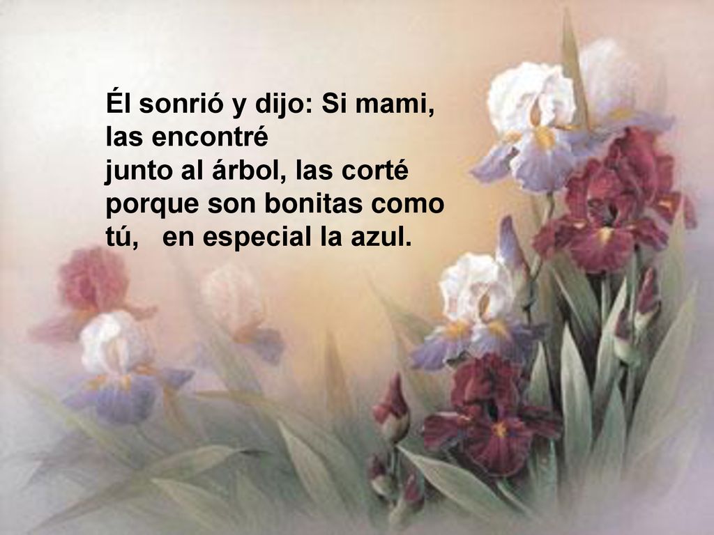 Él sonrió y dijo: Si mami, las encontré junto al árbol, las corté porque son bonitas como tú, en especial la azul.