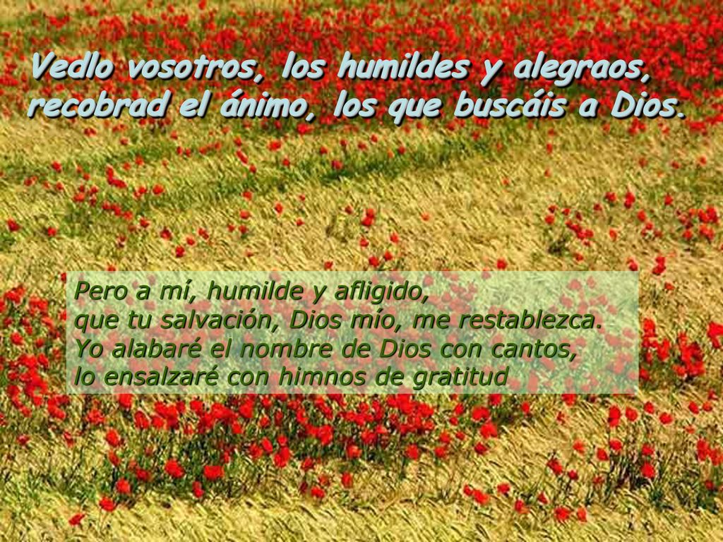 Vedlo vosotros, los humildes y alegraos, recobrad el ánimo, los que buscáis a Dios.