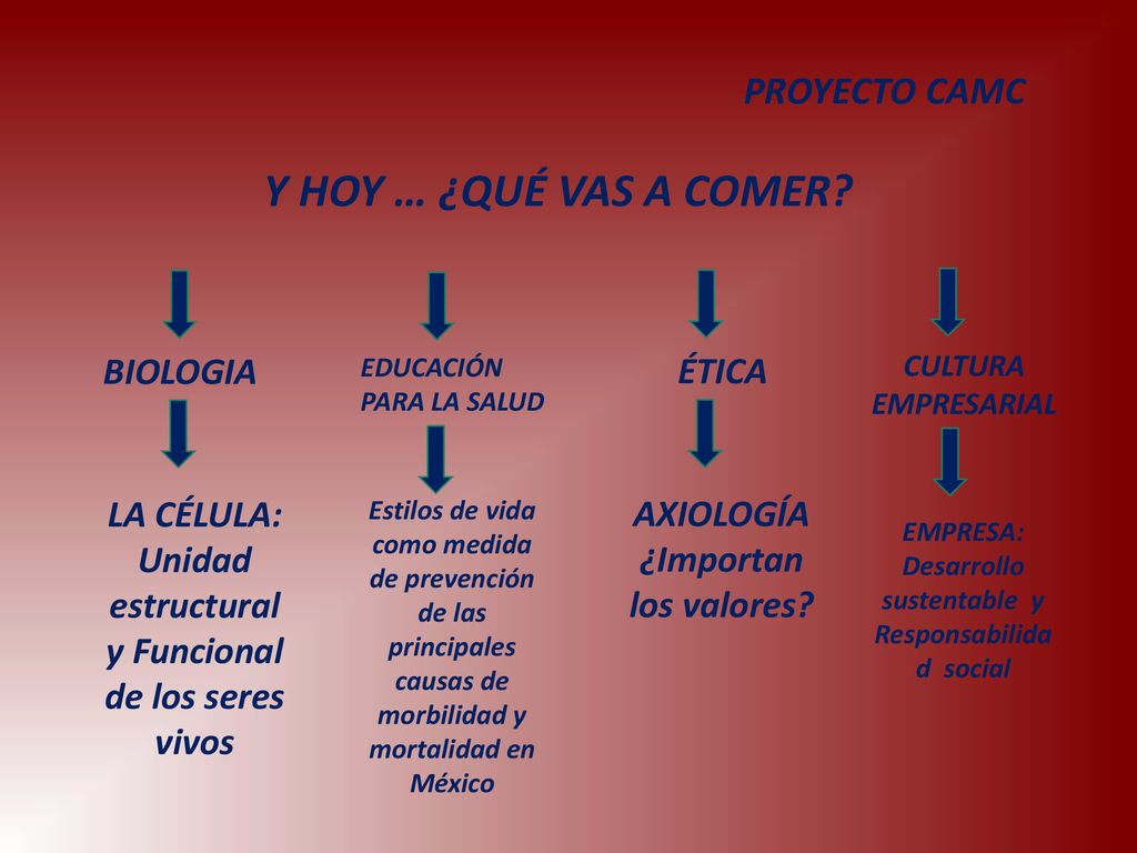 Y HOY … ¿QUÉ VAS A COMER PROYECTO CAMC BIOLOGIA ÉTICA