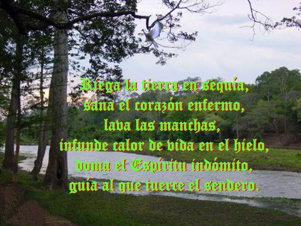 Riega la tierra en sequía, sana el corazón enfermo, lava las manchas, infunde calor de vida en el hielo, doma el Espíritu indómito, guía al que tuerce el sendero.