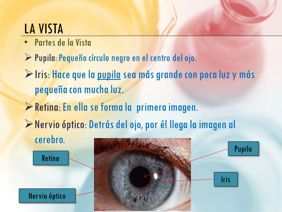 La vista Partes de la Vista. Pupila: Pequeño círculo negro en el centro del ojo.