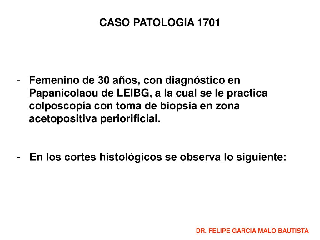 - En los cortes histológicos se observa lo siguiente: