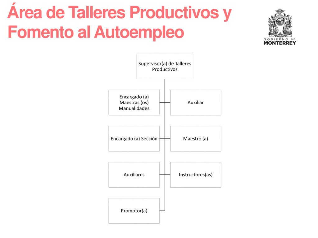 Área de Talleres Productivos y Fomento al Autoempleo