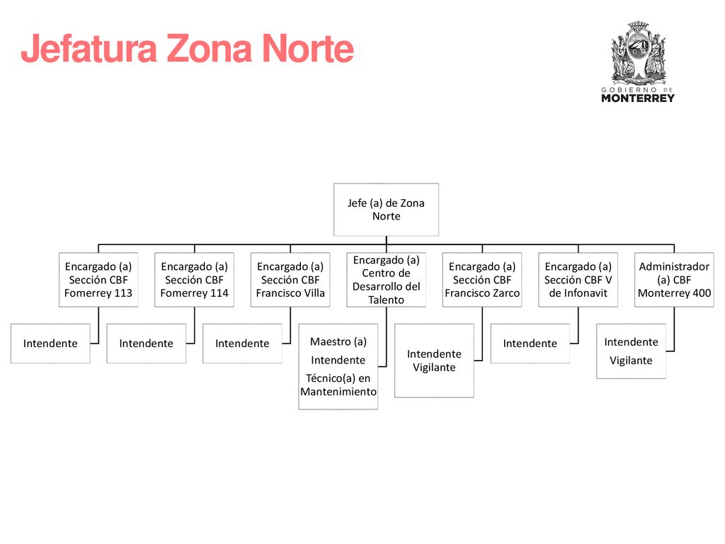 Jefatura Zona Norte Jefe (a) de Zona Norte