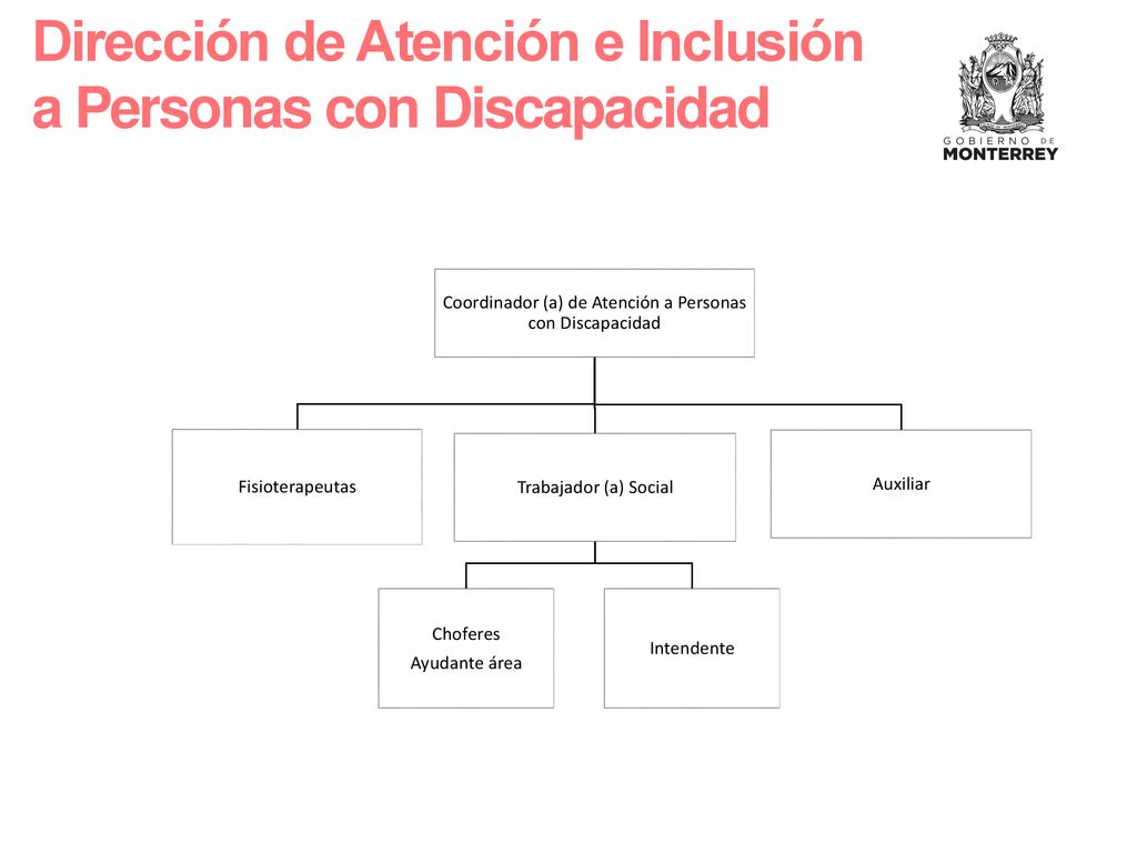 Coordinador (a) de Atención a Personas con Discapacidad