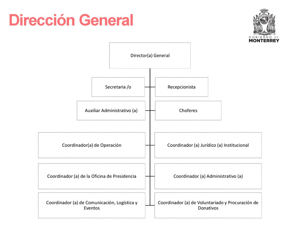 Dirección General Director(a) General Coordinador(a) de Operación