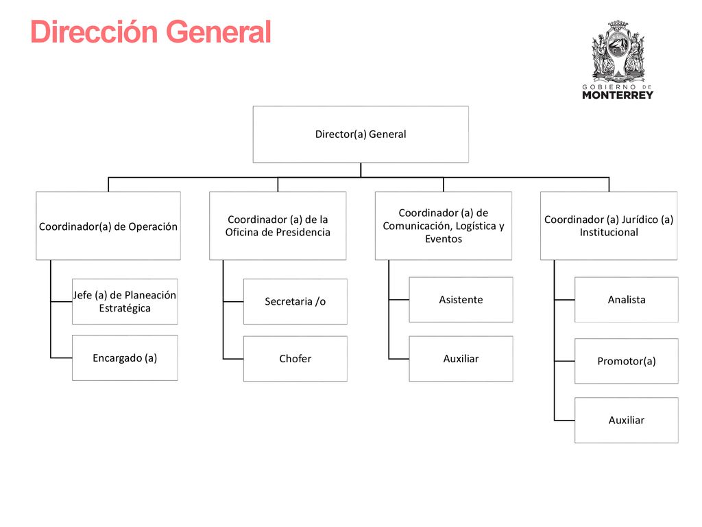 Dirección General Director(a) General Coordinador(a) de Operación
