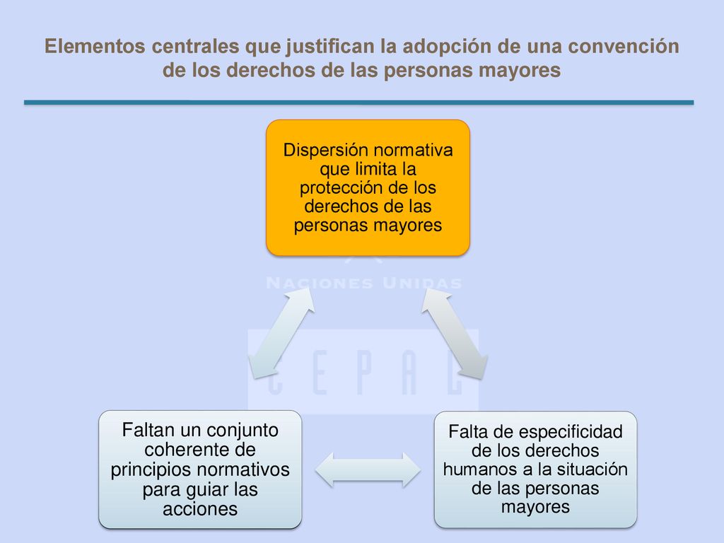 Elementos centrales que justifican la adopción de una convención de los derechos de las personas mayores